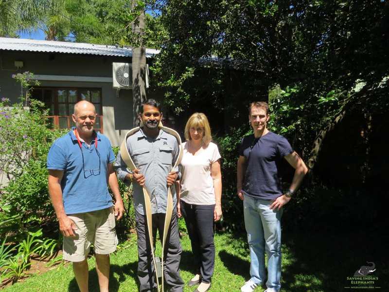 Radio-Collaring Training For The Wild Elephant Project In Chhattisgarh