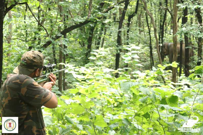 Monsoon - Airsoft Team