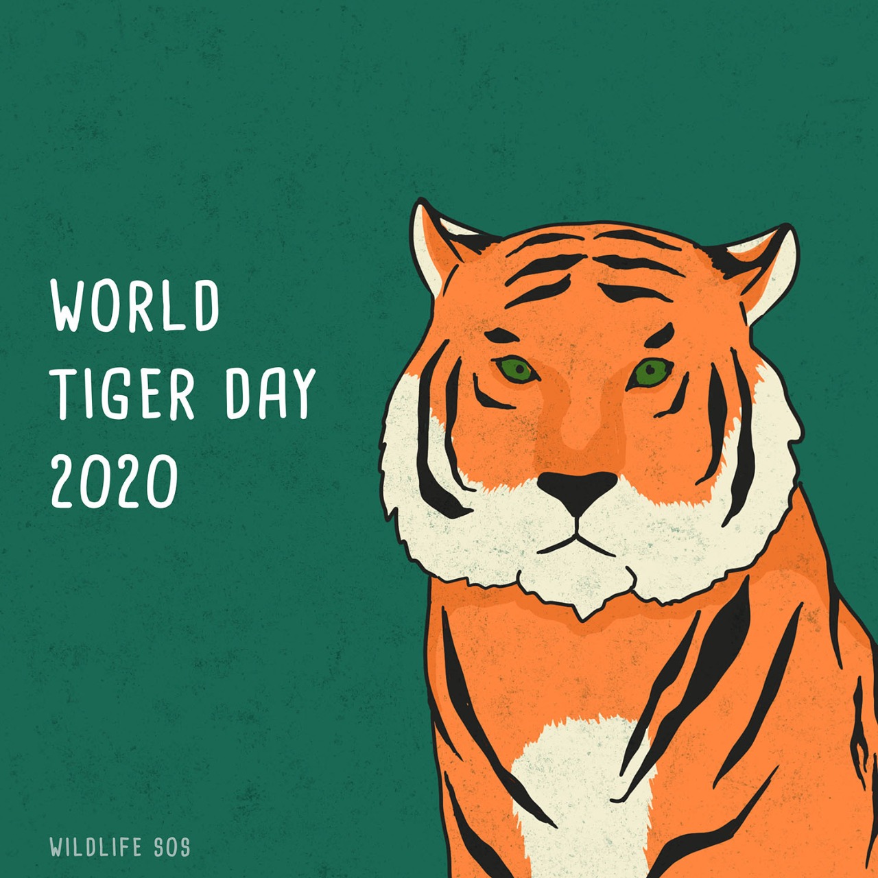 World Tiger Day: Threats To The Majestic Cat - Wildlife SOS