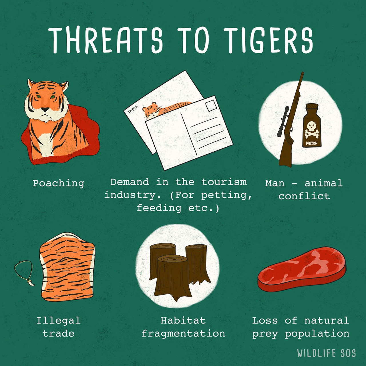 World Tiger Day: Threats To The Majestic Cat - Wildlife SOS