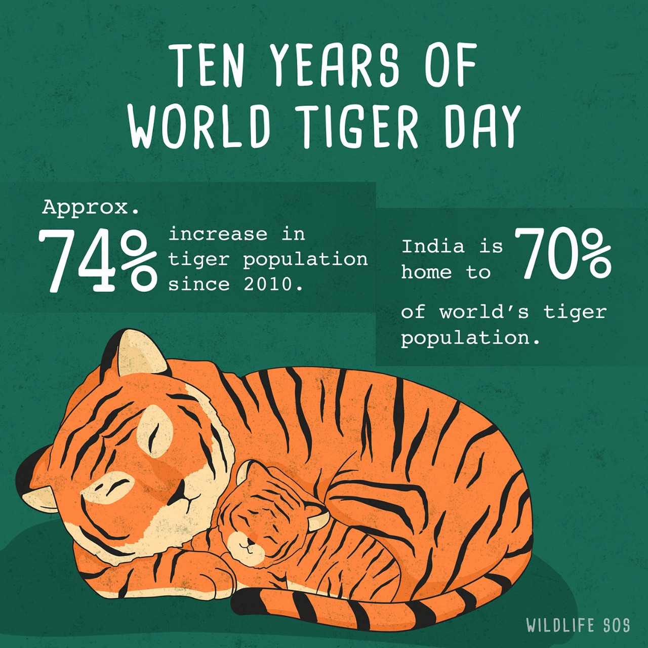 World Tiger Day: Threats To The Majestic Cat - Wildlife SOS