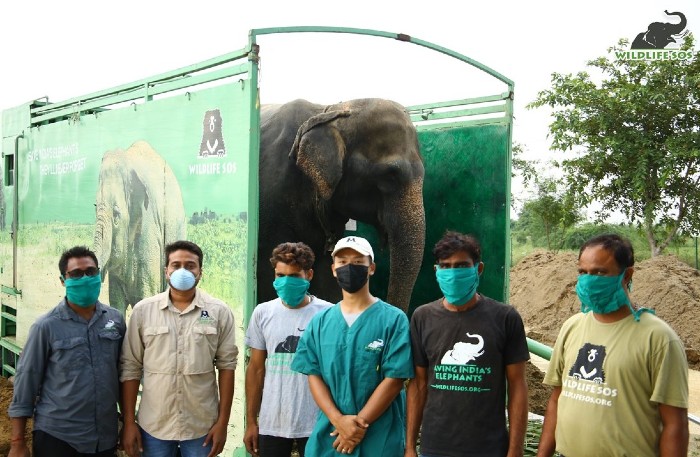 The team that brought Arya home at the Wildlife SOS Elephant Hospital! 