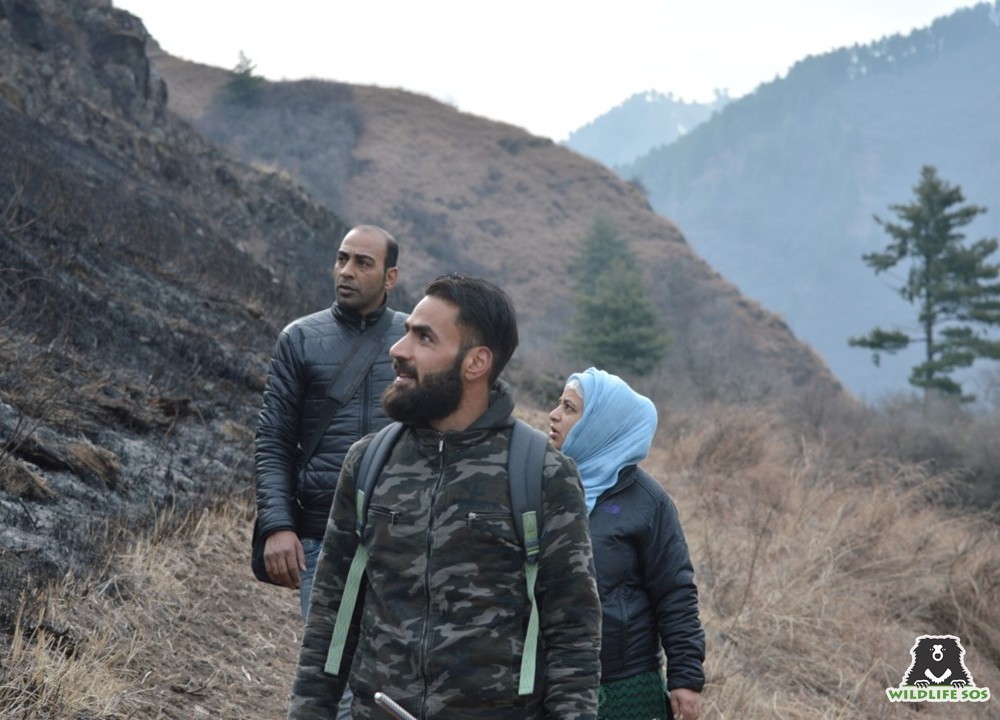 Being a local Kashmiri, Shabir knows the length and breadth and each corner of the Dachigam National Park! 