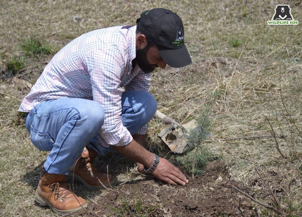 Shabir is also an enthusiastic naturalist and strongly advocates planting saplings around the National Park and nearby villages!