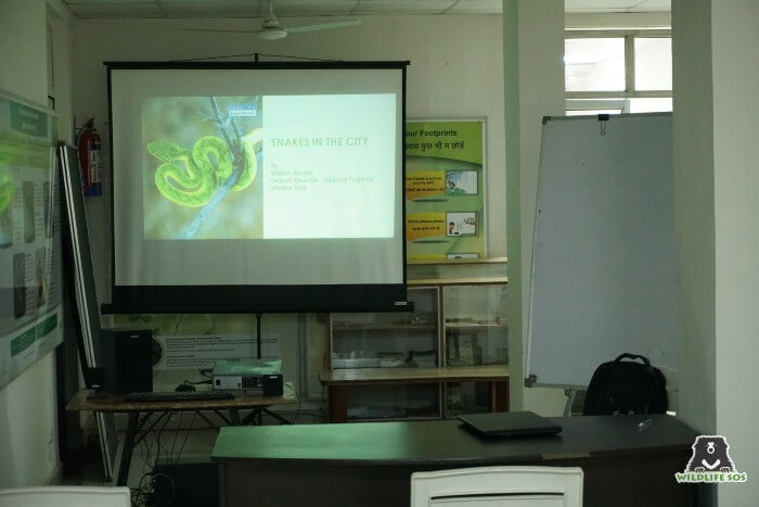 Wildlife SOS organised a detailed presentation on snake identification for aspiring candidates.