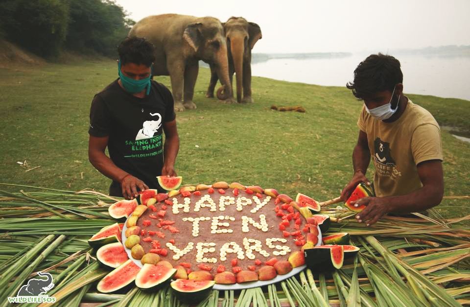 Maya loves fruit feasts and daliya cakes, a common way to celebrate special occasions at ECCC.