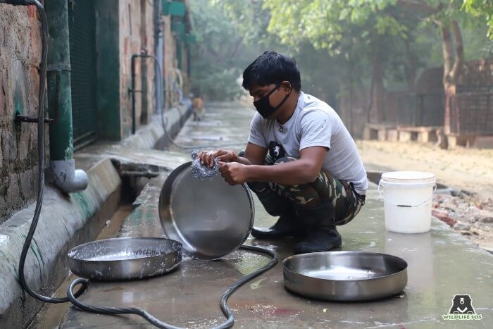 Cleaning the porridge bowls before and after use is an important part of sanitising and disinfecting.