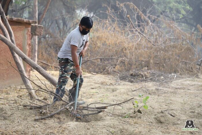 Deenanath dedicates an hour each morning to clean the fields, wiping off sharp stones and branches.