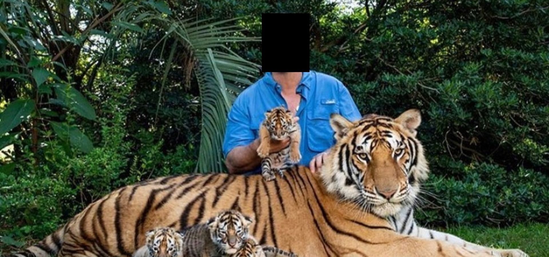 The Price of the 'Perfect' Selfie - Wild Animals fall prey to Unusual  Tastes - Wildlife SOS