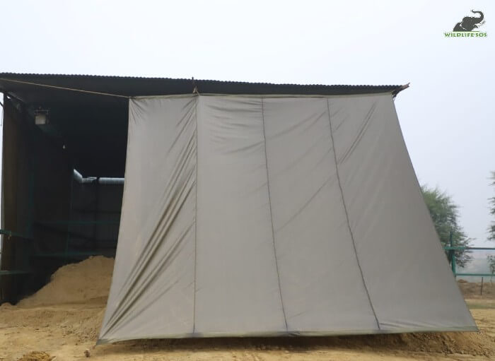 Proper covering of enclosures allow complete comfort of the elephants.