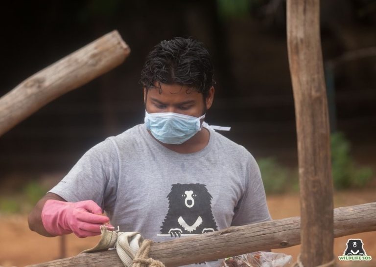 Bear keeper Allauddin creating enrichment for the bears under his care! All of our caregivers are very handy and love to create innovative enrichments for the bears.