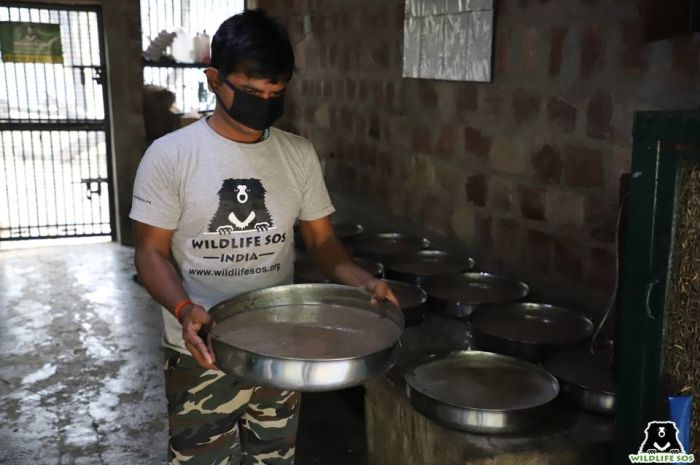 Ranjan's keeper pouring out sumptuous quantities of porridge with a dollop of honey - just the way Ranjan likes! 