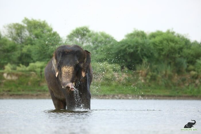 She is a complete water baby and even ends up splashing water all on herself from the water meant for drinking! 