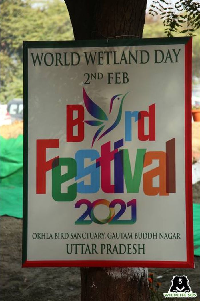 The World Wetland Day was celebrated by organising a Bird Festival at the Okhla Bird Sanctuary.