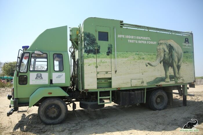 Presenting India's first Elephant Ambulance!