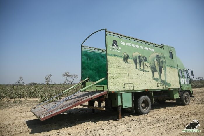 The Elephant Ambulance is designed to provide utmost care and comfort to the rescued elephant and the staff.