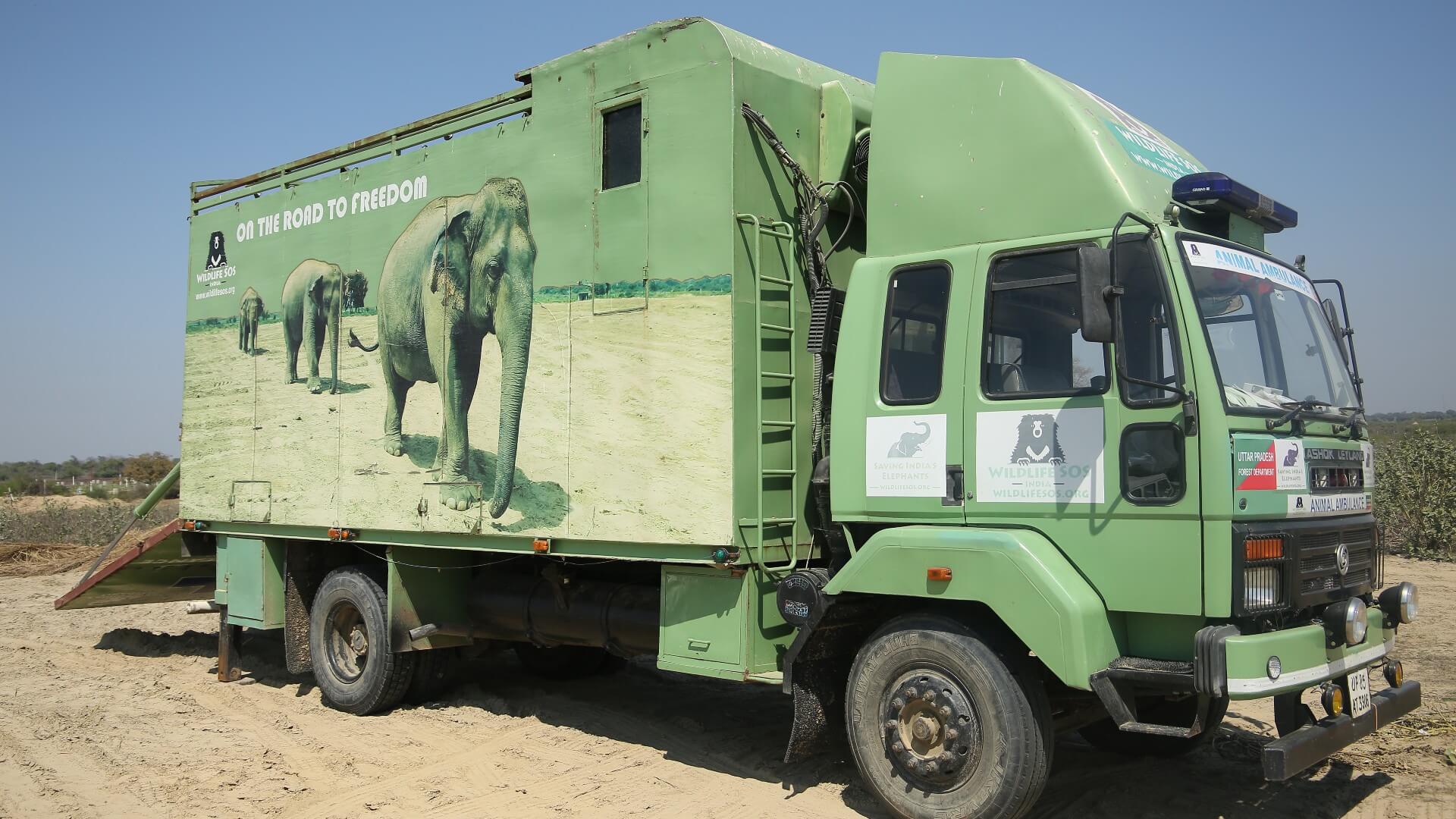 All You Need To Know About India's only Elephant Ambulance - Wildlife SOS
