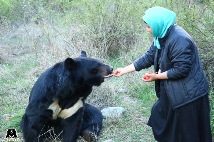 "What surprises me most is the intelligence displayed by these animals on a day-to-day basis" - Aaliya Mir