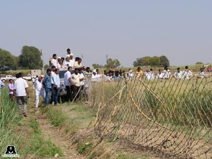 Crowd control is a big part of the awareness workshops.