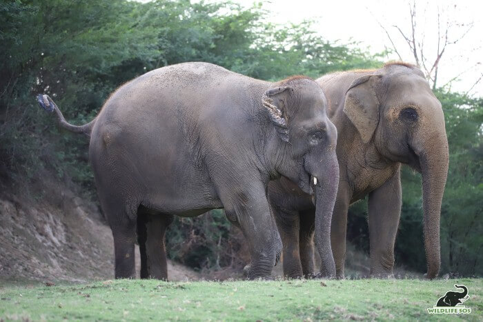 Emma and Phoolkali standing next to each other by the Yamuna riverside.