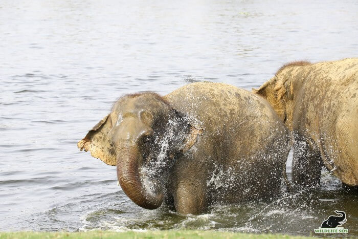 The trio differs on many aspects but shares a common love for WATER!