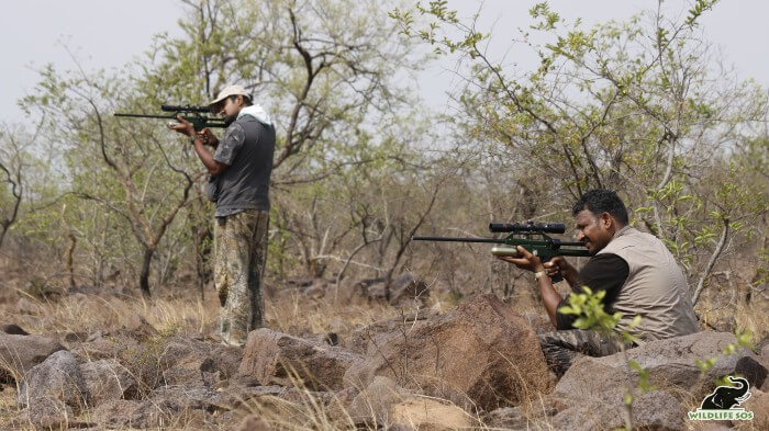 Dr. Arun (L) and Dr. Ilayaraja (R) are experts at immobilising and sedating wild animals.