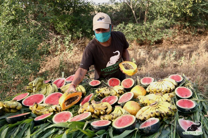 Her caregiver cutting up all her favourite fruits for the feast!