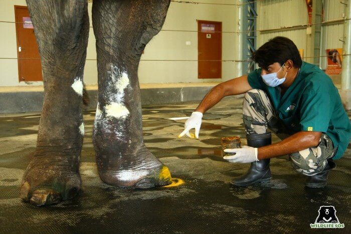 Dr. Rahul tending to Arya's grave injuries on the day of her arrival.