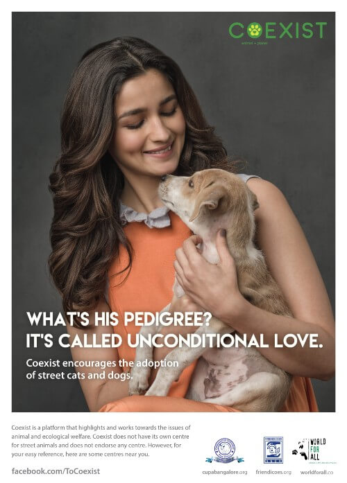 Alia's charity, Coexist, works with animal issues and welfare.