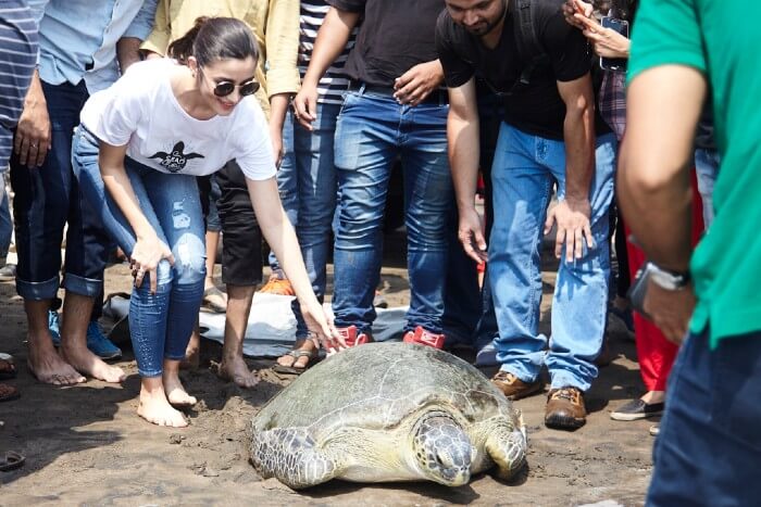 She has always been an advocate of the rights of animals.