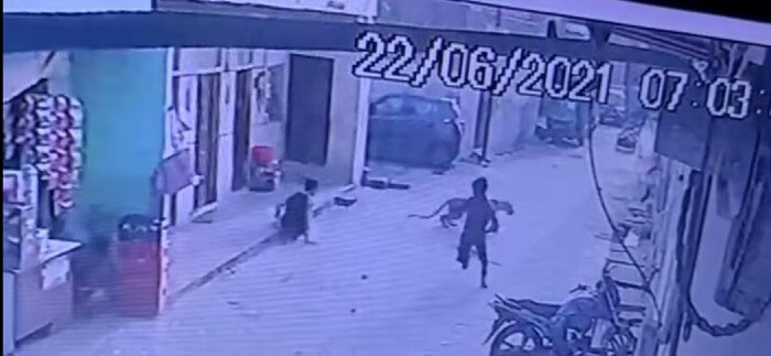 The CCTV footage of the leopard running out of the house. 