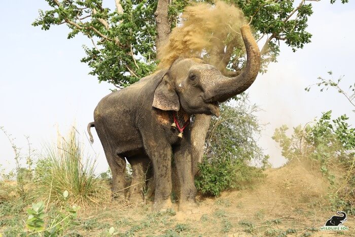 An elated Nina - look at her expression!