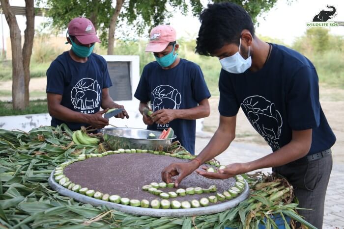 The elephant care staff and field team preparing Raju's delicious cake.