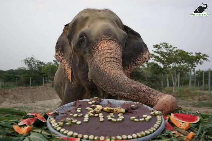 It was a rainy day on the day of his 7th rescuversary, making pleasant winds blow! 