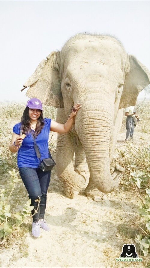 Suvidha misses all the elephants at the Centre but misses Laxmi the most!