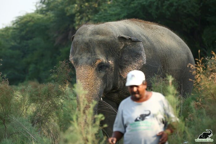 Maya with her caregiver, Munna, on a stroll by the riverside