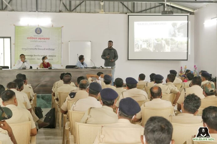 Wildlife SOS Team Member speaks on wildlife veterinarians.