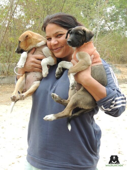 Rakhee also loves taking care of the stray dogs, cats and cows around her locality