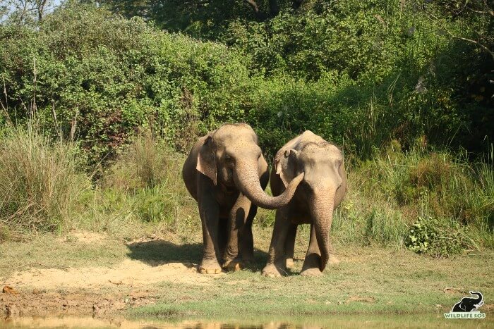 The duo at their favourite spot in the Centre - the mud bog!