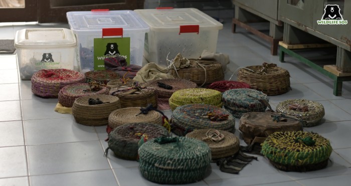 Even the snake baskets were not suitable place for the abused snakes to be in
