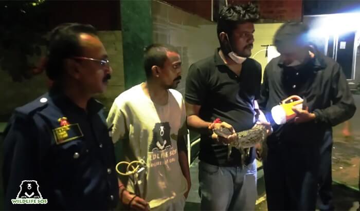 The team rescues mugger crocodile from Khaswadi cemetery