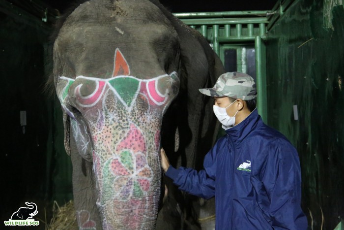 Dr. Tenzing keeps a watchful eye on Ginger during the journey