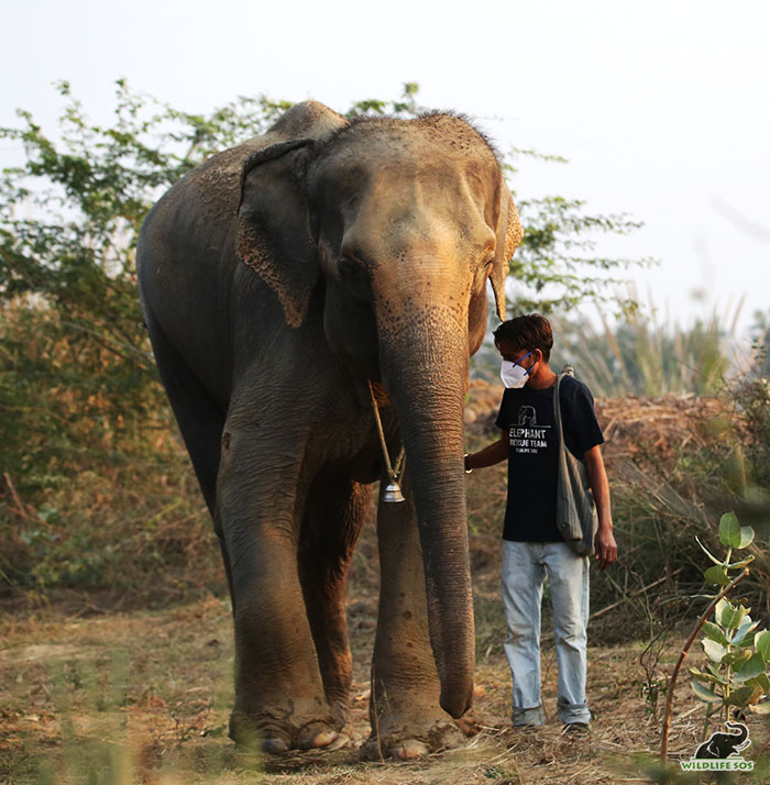 Pari has been forging a close bond with her caregiver in the past one month