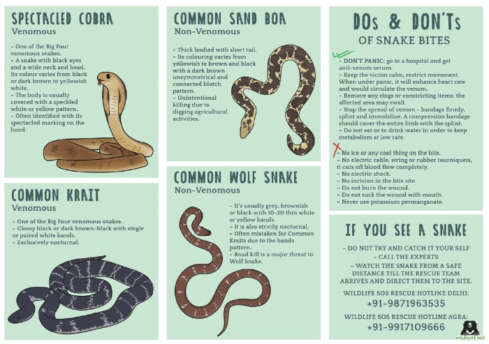 Snakes-poisonous & Non poisonous, venom ,biting mechanism
