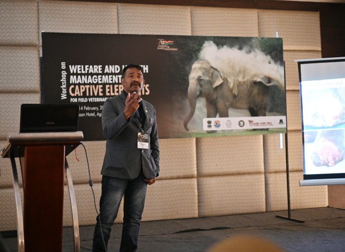 Dr.S. Ilayaraja (Deputy Director - Veterinary Services, Wildlife SOS) speaks about the Essentials of Foot-Care in Captive Elephants