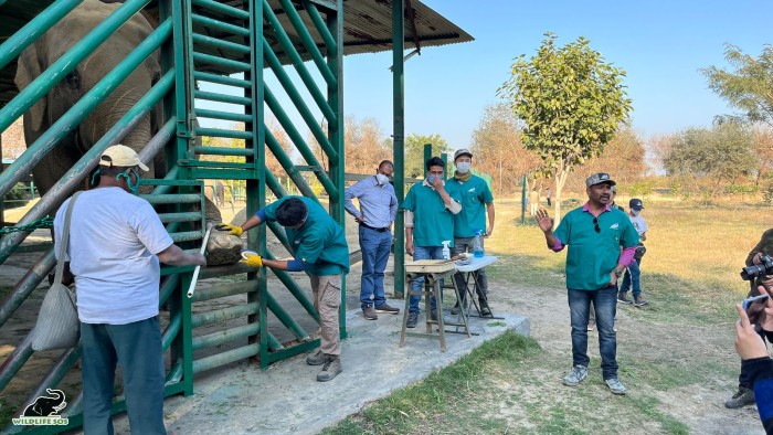 The second day of the workshop was held at the Wildlife SOS elephant facilities in Mathura