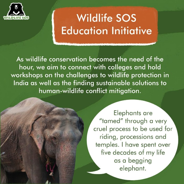 Wildlife SOS Education Initiative aims to create a generation empathetic towards the conservation of wild animals. 