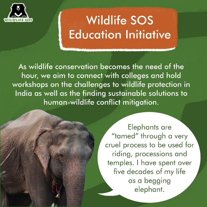 Wildlife Conservation, Initiatives