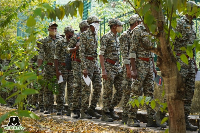 Wildlife SOS often collaborates with various State Forest Departments to undertake such workshops. 