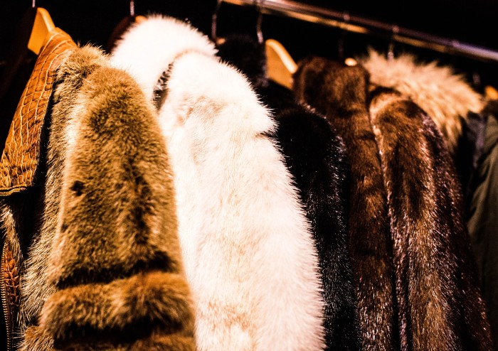 The luxury fashion industry is responsible for large-scale exploitation of animals.